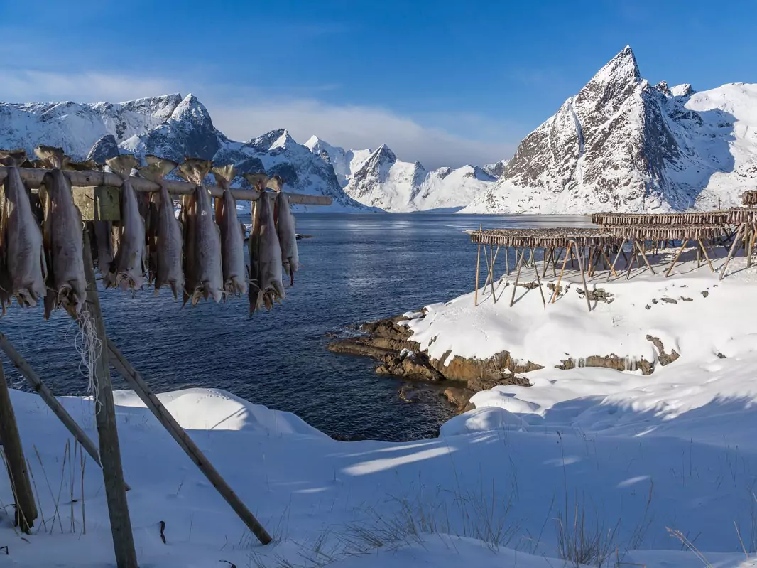 Winterliche Lofoten