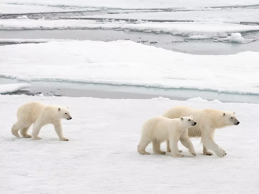 Spitzbergen Umrundung