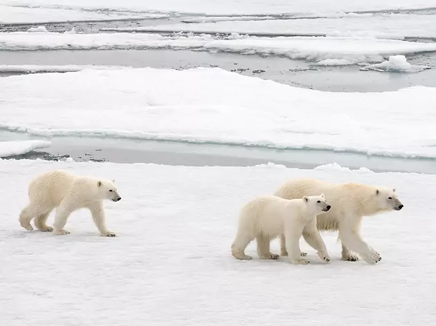 Spitzbergen Umrundung