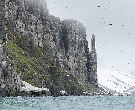 Spitzbergen_Alkefjellet_c_Vreni_Stefan_gerber_s.jpg