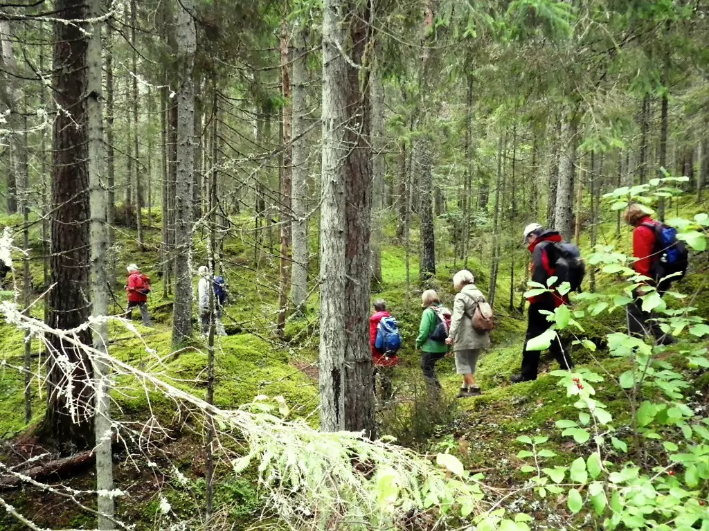 Gruppenreisen im Norden