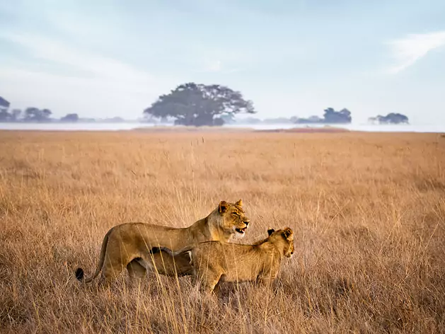 Südliches Afrika