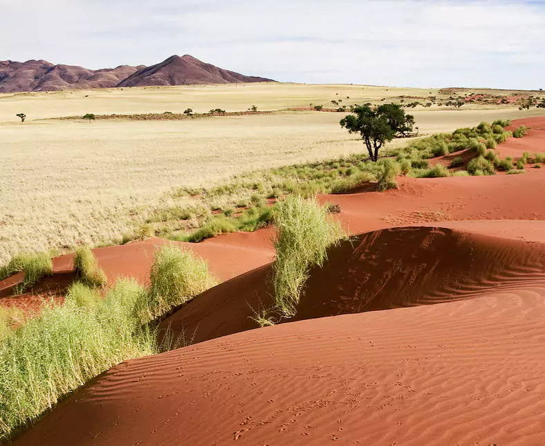 Namibia.png