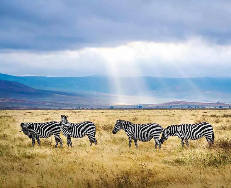 Ngorongoro_Tansania.jpg