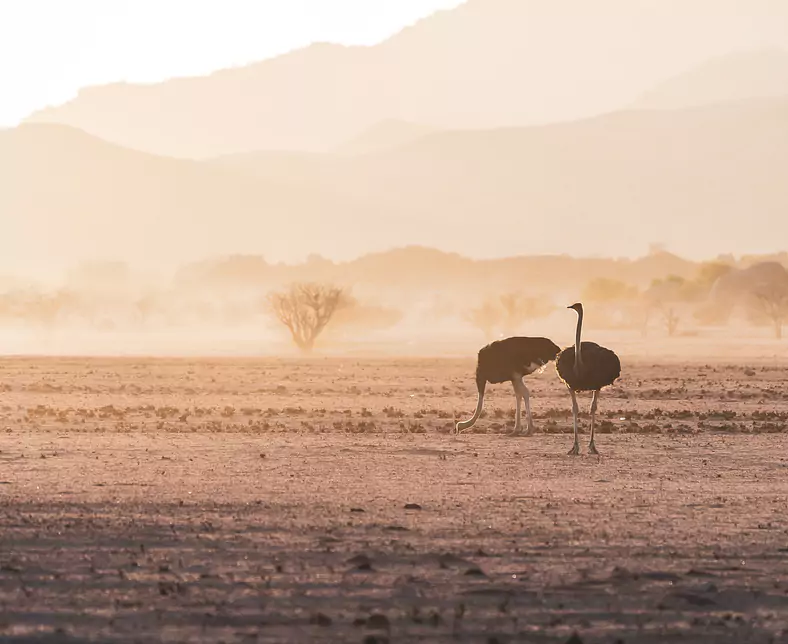 Damaraland_Namibia.jpg