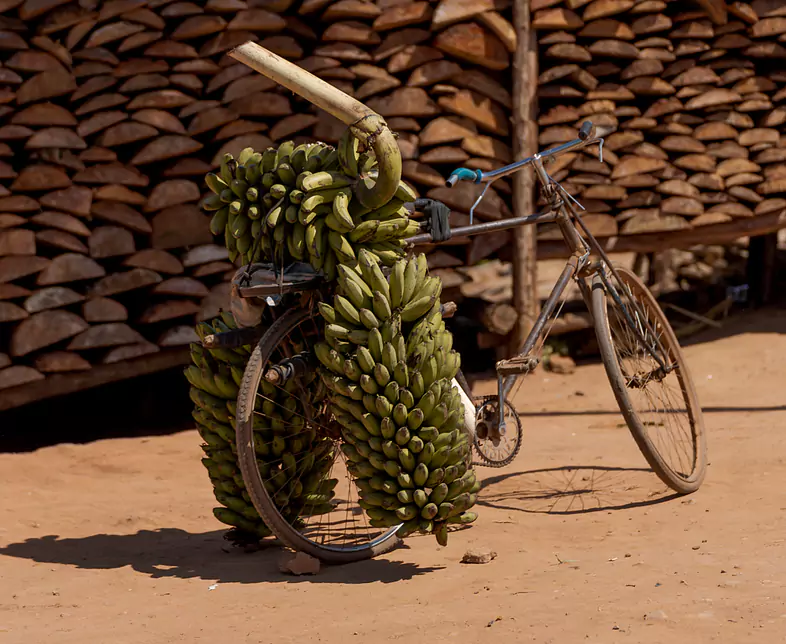 Bike Uganda.png