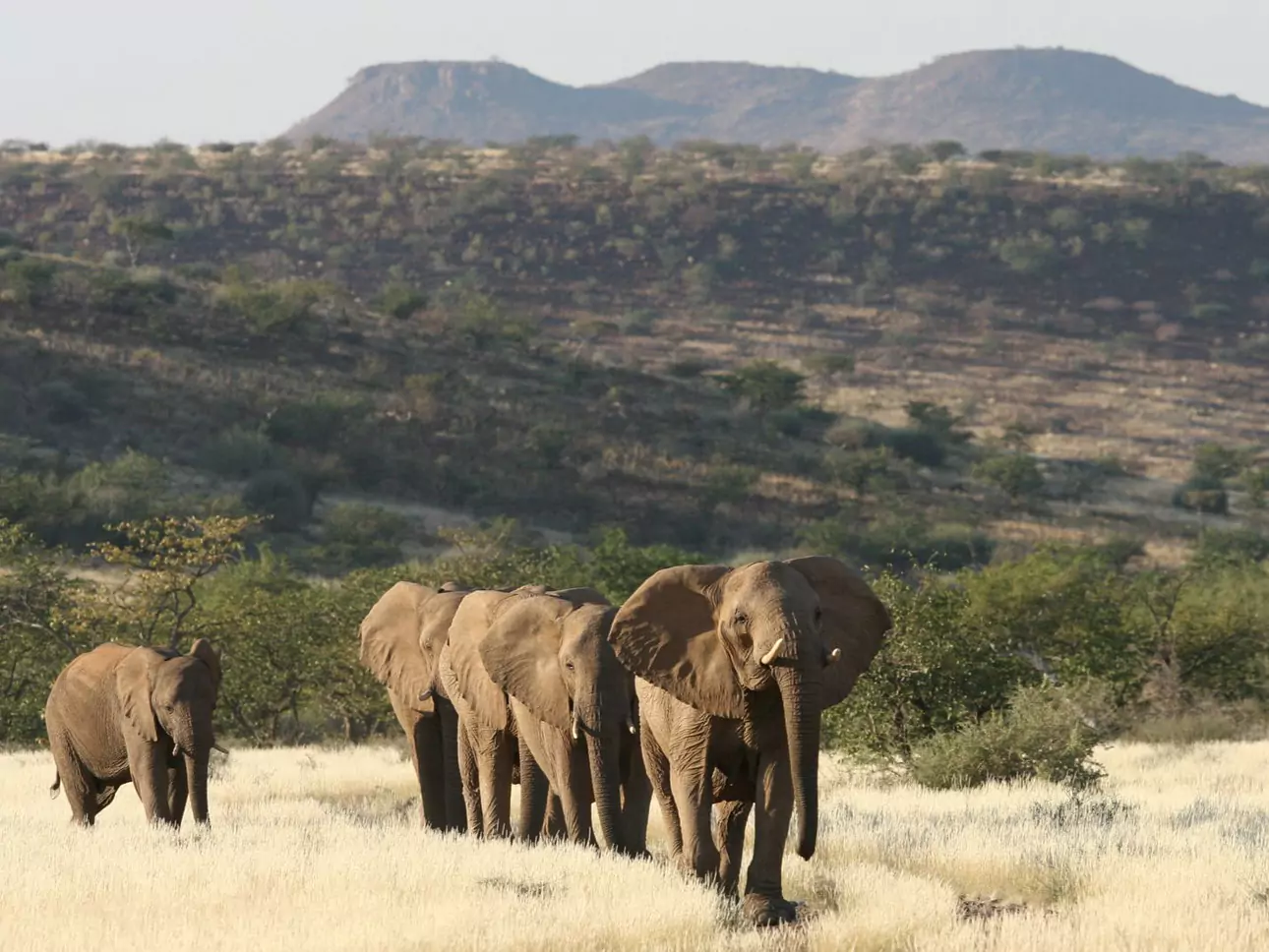 Highlights of Namibia