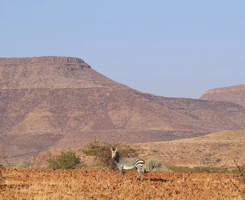 Etendeka - Landschaft 3 - EP AUG 17.jpg