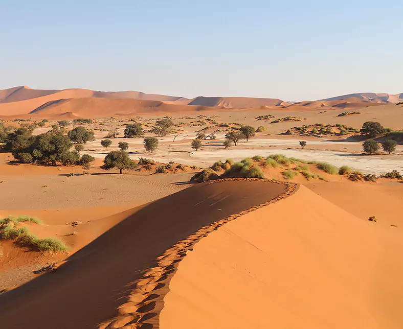 Sossusvlei 1 - EP Jul 17 - a.jpg