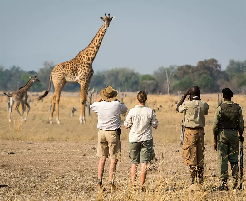 Walking Safari Time + Tides.jpg