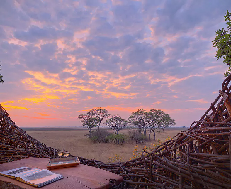 Chisa Busanga - Nest 2 - Jul 23.jpg
