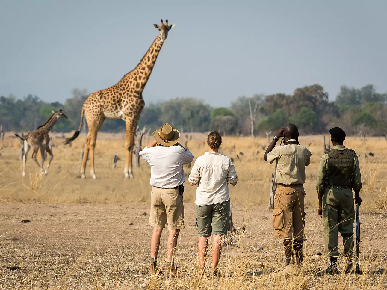 Zambia vom Experten