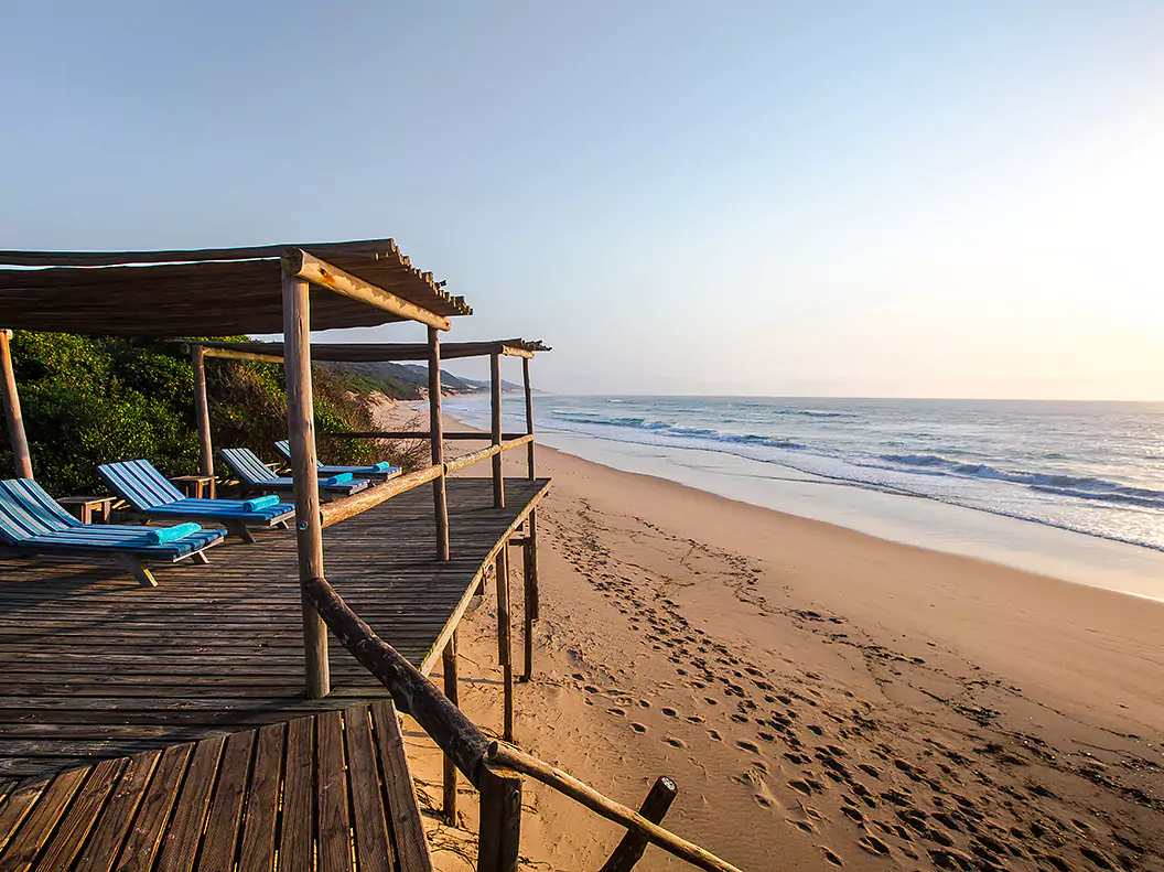 Südafrika vom Experten