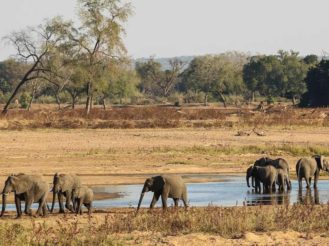 Zimbabwe vom Experten