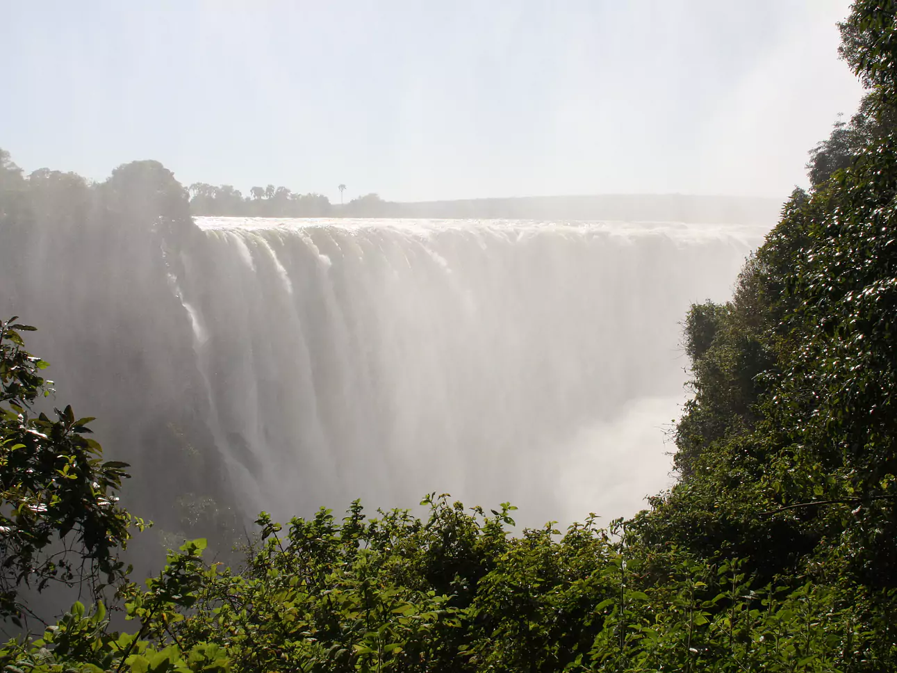 Zimbabwe vom Experten