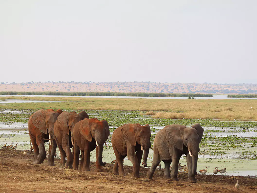 Tanzania vom Experten
