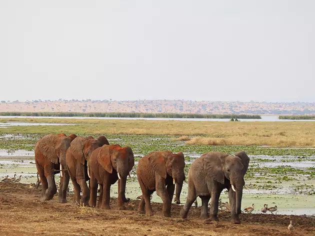 Tanzania vom Experten