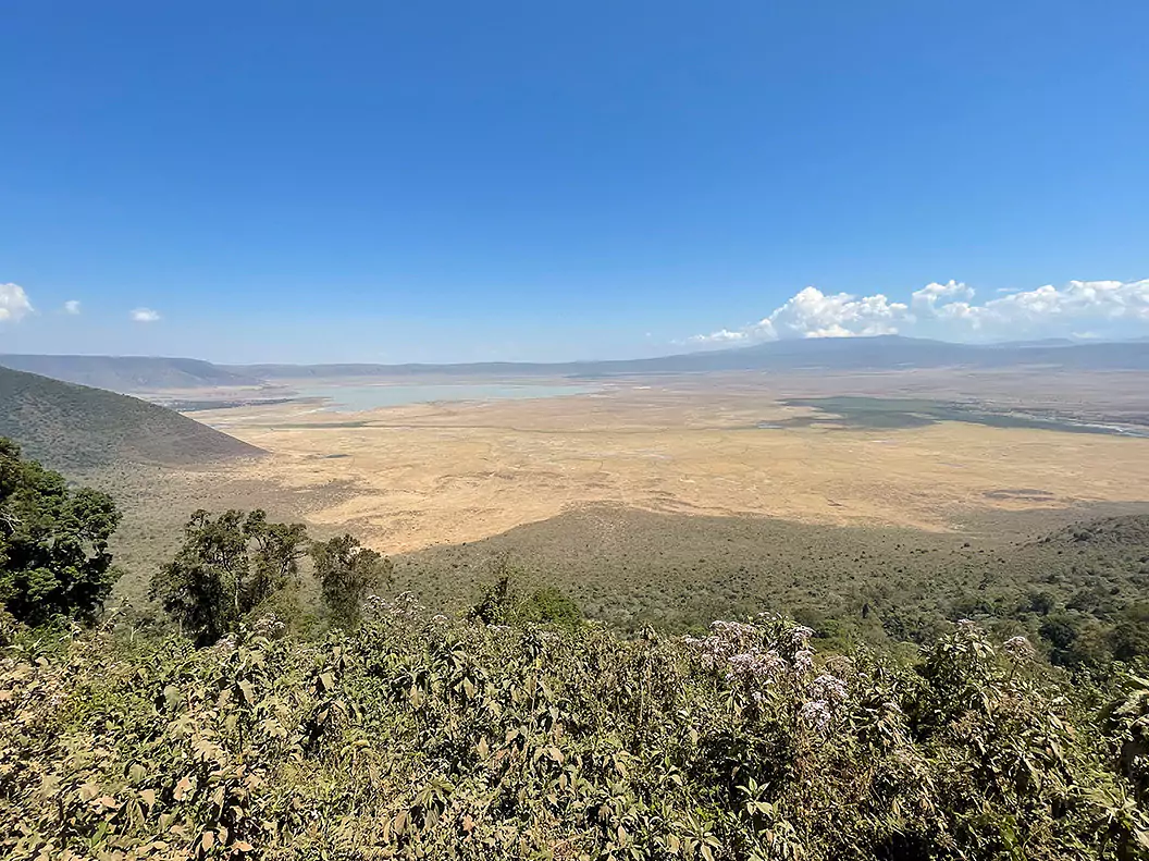 Tanzania vom Experten