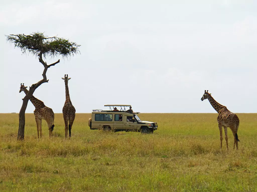 Kenya vom Experten