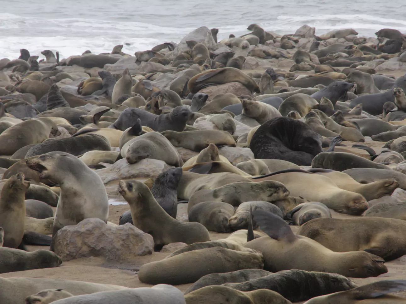 Namibia vom Experten