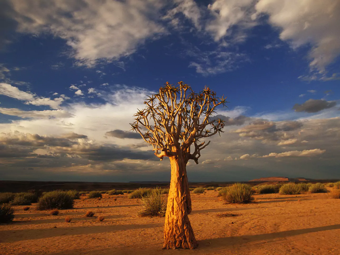 Namibia vom Experten