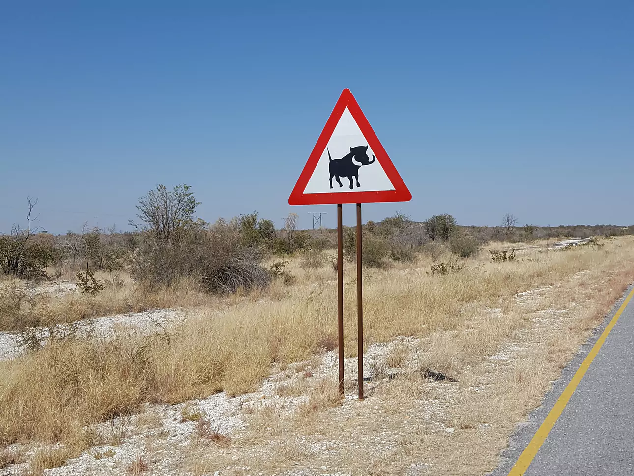 Namibia vom Experten