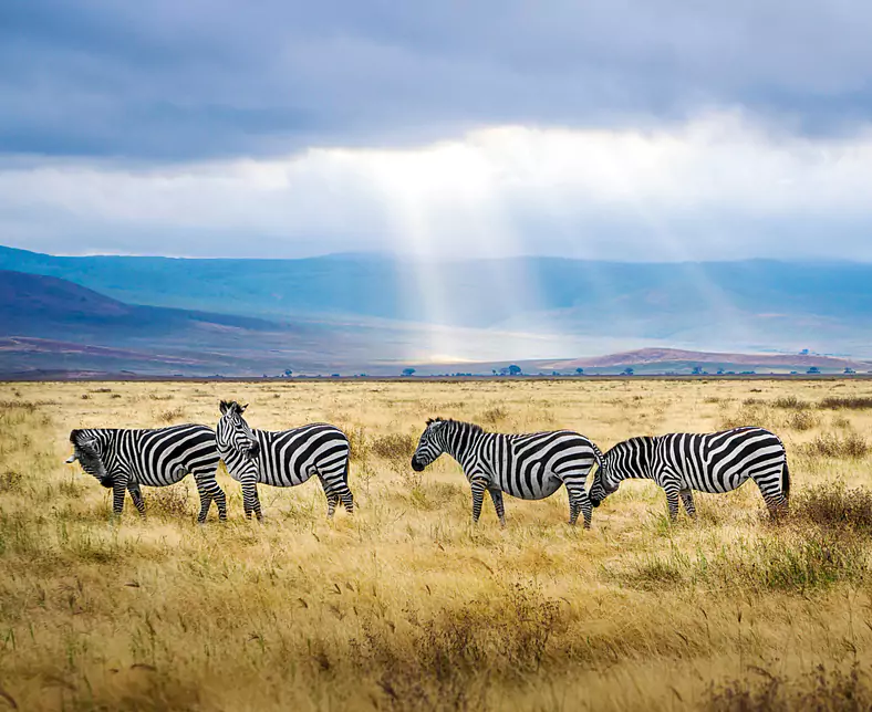 Ngorongoro_Tansania.jpg