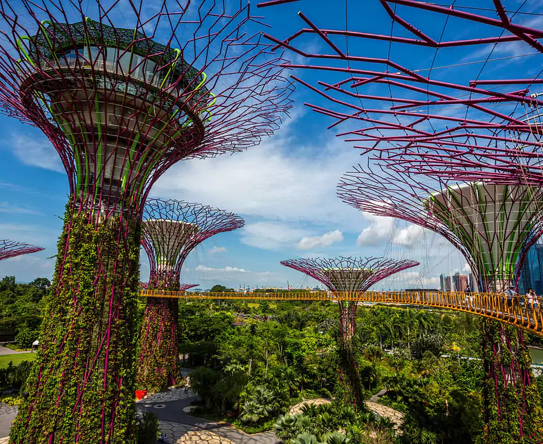 Singapur-Gardens by the Bay-Singapore Garden By the Bay Supertree grove-102630.jpg