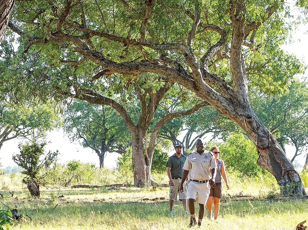 Botswana vom Experten