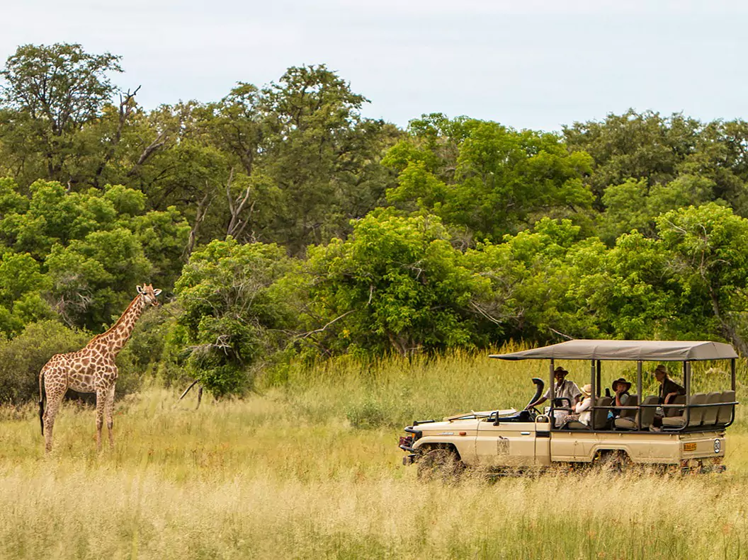 Botswana vom Experten