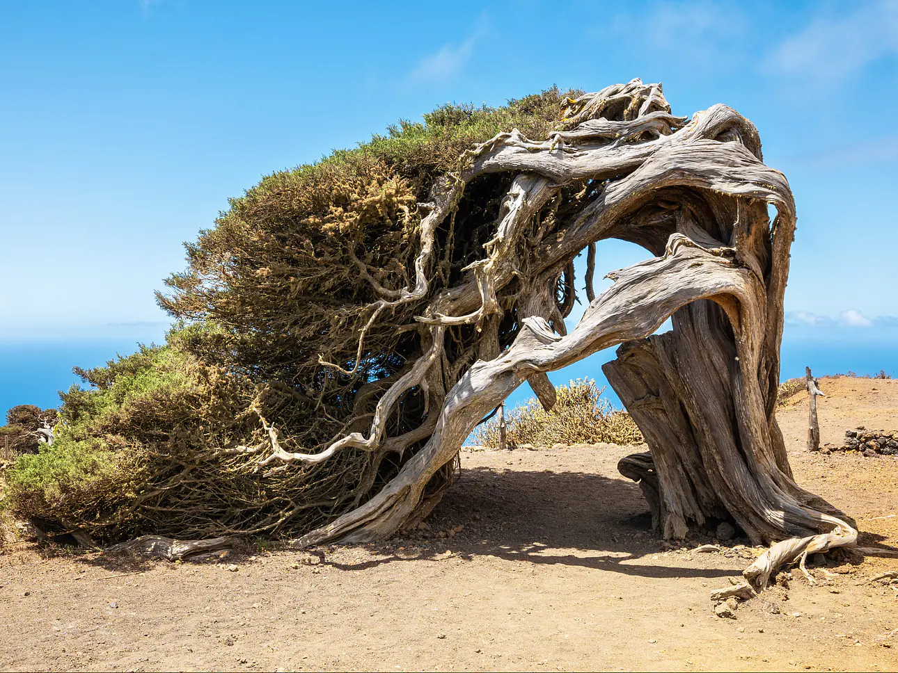 El Hierro 