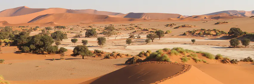 Namibia - das Land der Kontraste 