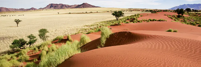 Namibia - Land der Kontraste - endlose Horizonte 