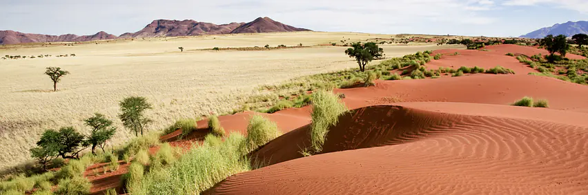 Namibia - Land der Kontraste - endlose Horizonte 