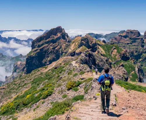 AP_Madeira_Vereda_do_Pico_do_Arieiro.jpg