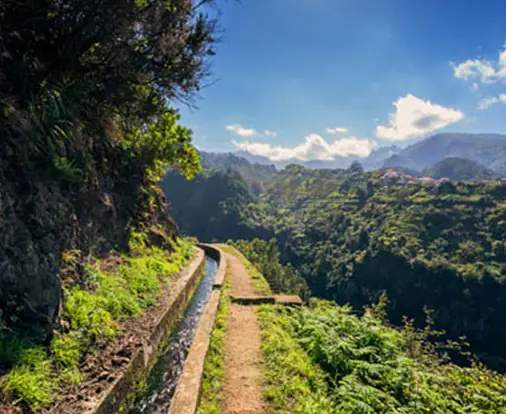 Portugal_Madeira_Levada_do_Castelejo.jpg
