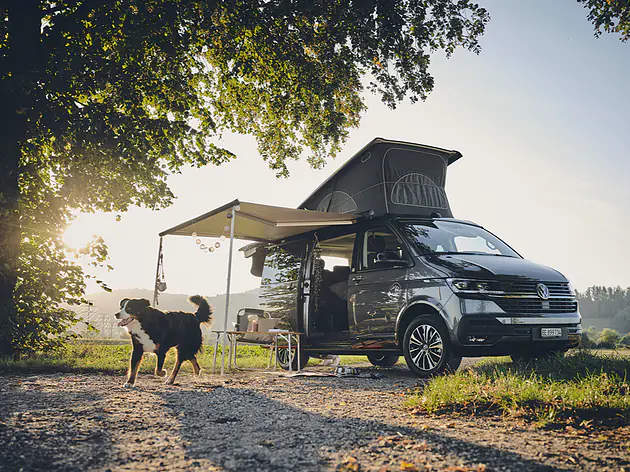 VW T6.1 Ocean Pfotencamper