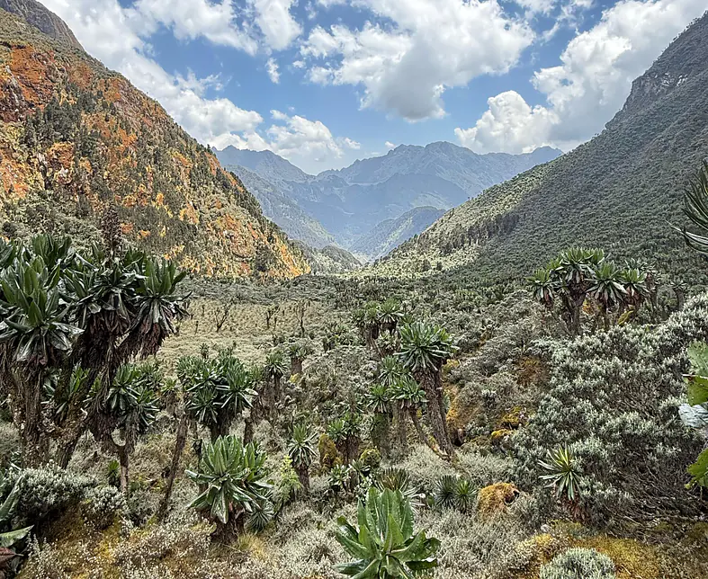 WhatsApp Image 2025-05-06 at 18.17.14 (1).jpeg