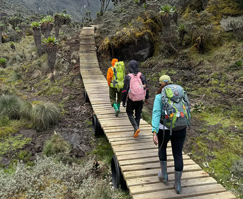 WhatsApp Image 2025-05-06 at 18.17.16.jpeg