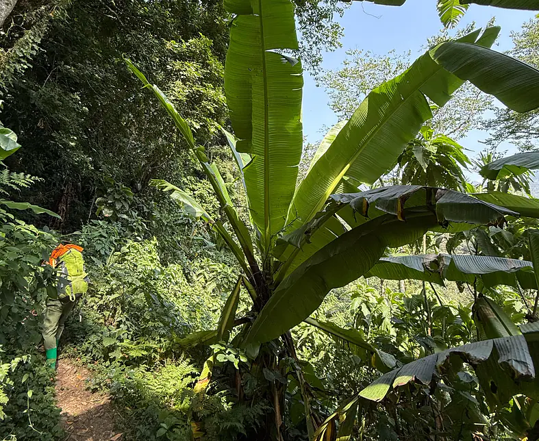 WhatsApp Image 2025-05-06 at 17.37.29.jpeg