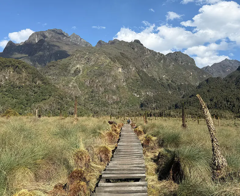 WhatsApp Image 2025-05-06 at 18.16.56.jpeg