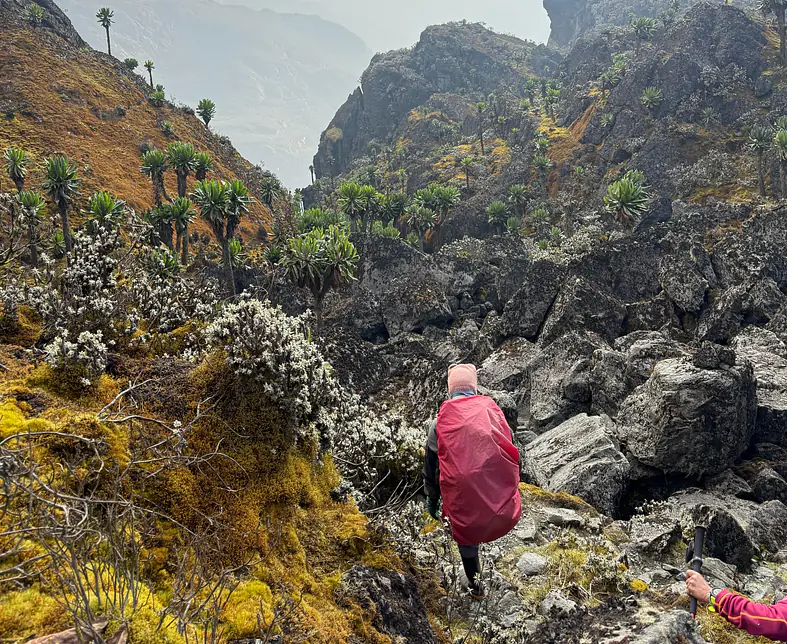 WhatsApp Image 2025-05-06 at 21.44.30.jpeg