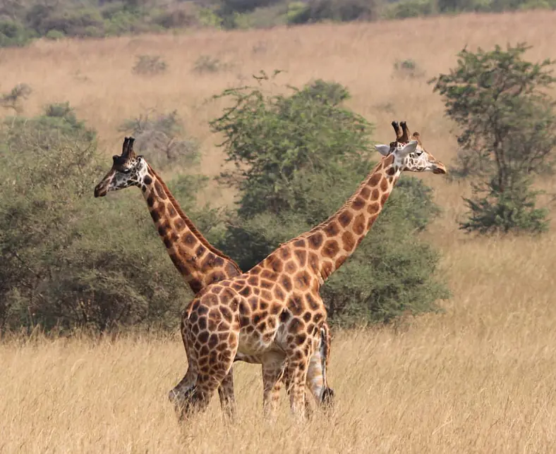 WhatsApp Image 2025-08-06 at 14.18.24 (4).jpeg