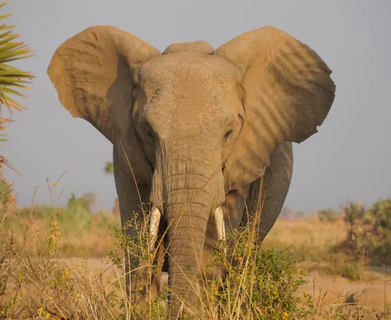 WhatsApp Image 2025-10-20 at 16.17.24 (4).jpeg