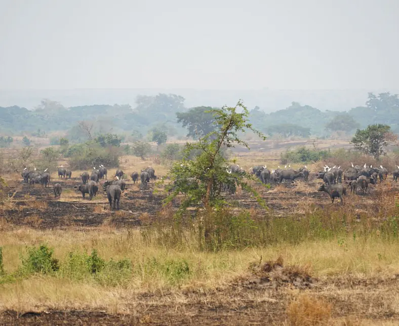 WhatsApp Image 2025-10-20 at 16.17.25 (4).jpeg