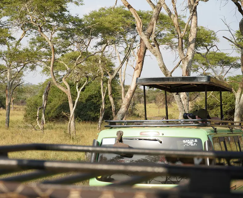 WhatsApp Image 2025-10-20 at 16.17.26 (3).jpeg