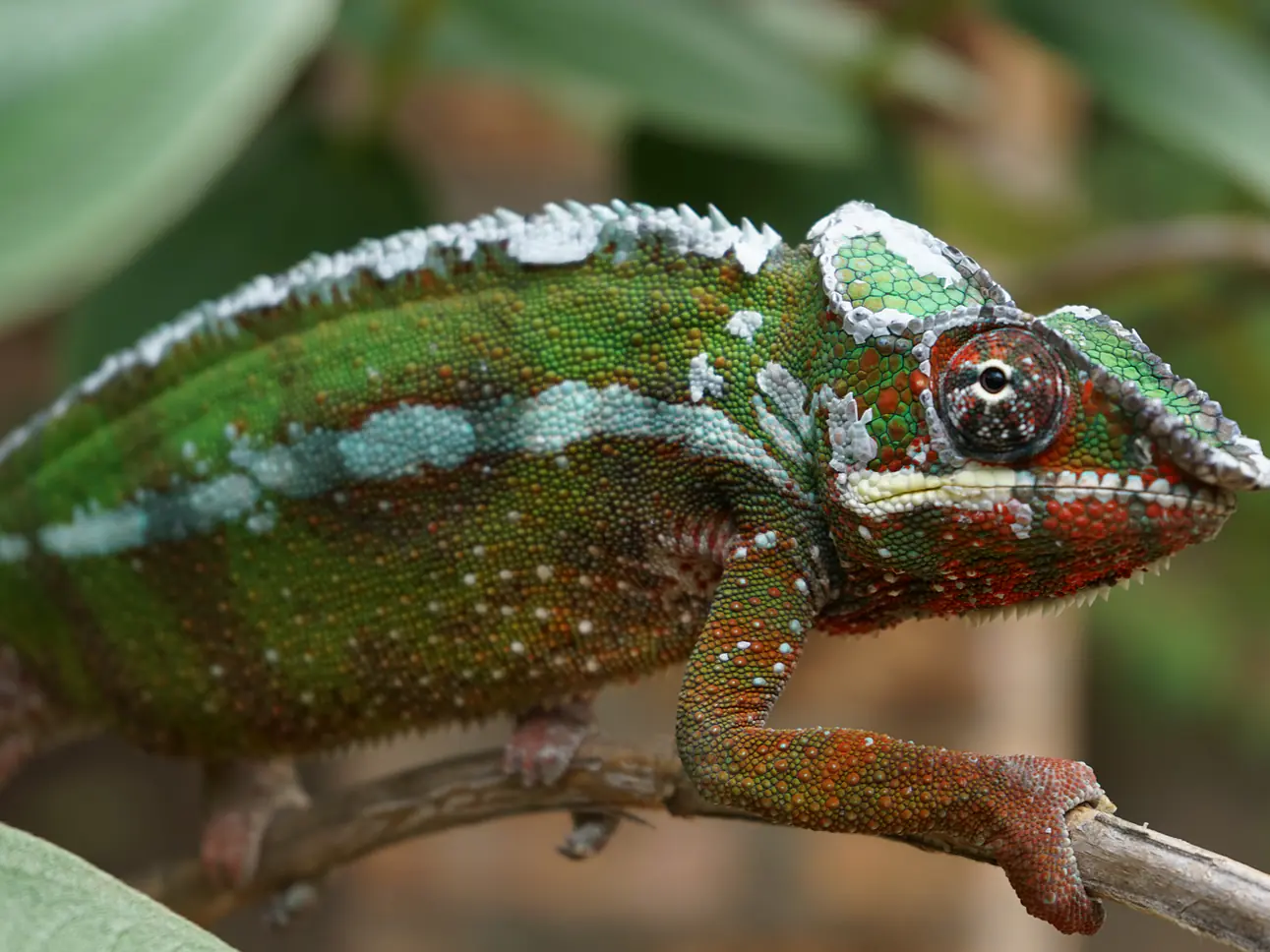 Madagaskar Gruppenreise