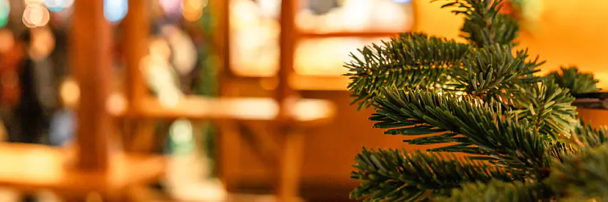 8 besondere Weihnachtsmärkte