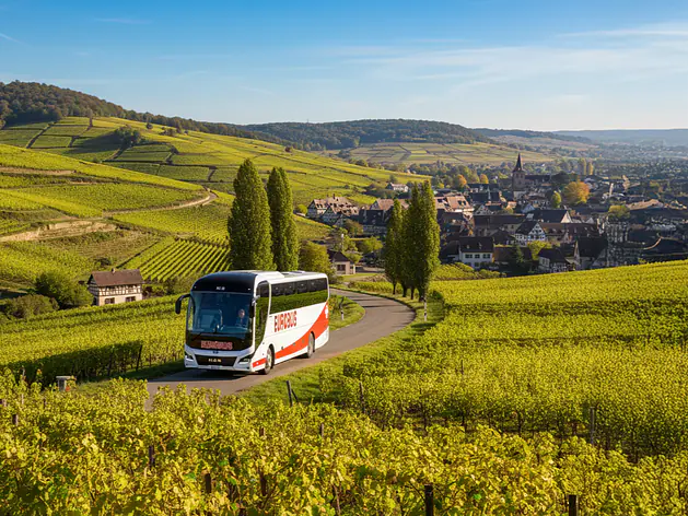 Tagesausflüge & Tagesreisen