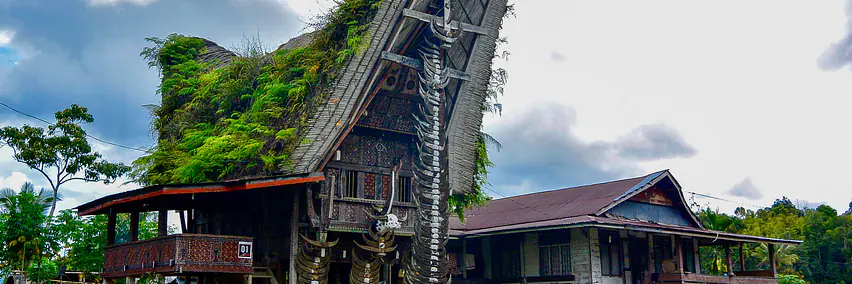 Globetrotter «Unterwegs mit»: Sulawesi – Wild & ursprünglich